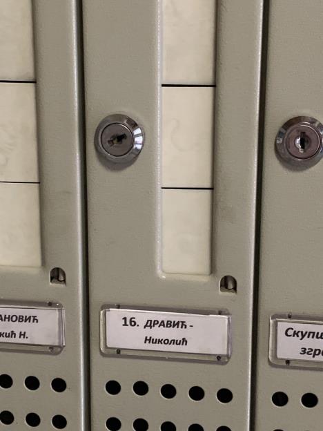 2207 milena i dragan (4).jpg