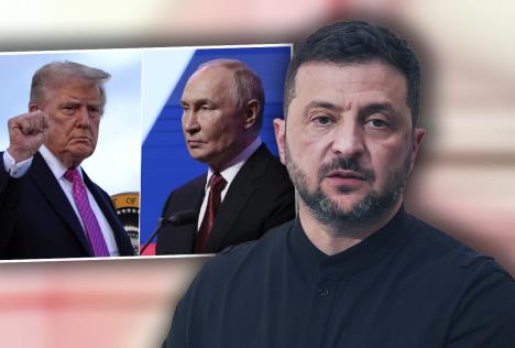 x AP Ludovic Marin copy.jpg