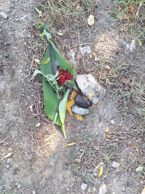 WhatsApp Image 2025-09-16 at 13.05.49_716a3b84.jpg