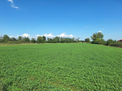 WhatsApp Image 2025-09-16 at 14.11.52_22b12482.jpg