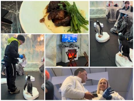 Rucak sa pingvinimaa.png