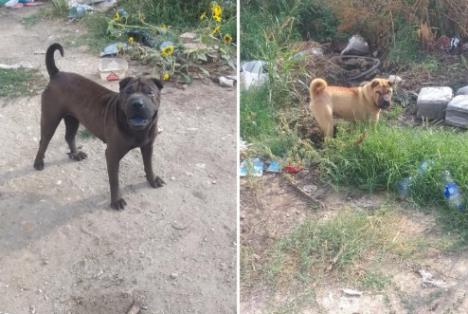 Screenshot 2025-09-17 124937.jpg