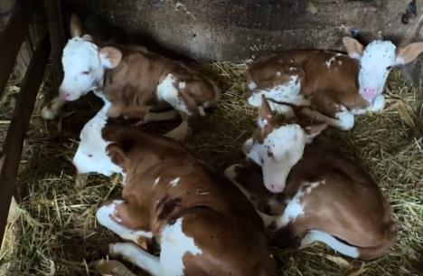 Screenshot 2025-09-18 150120.jpg