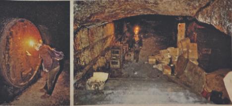 Screenshot 2025-09-20 204719.jpg