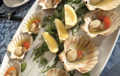 Viktoer Živojinović