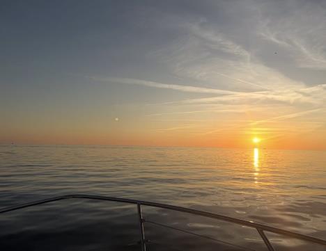 Viktoer Živojinović