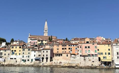 Viktoer Živojinović