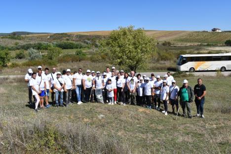 Павков Ф гора камапања 11.jpg