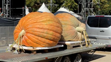 Sequence 10.02_15_39_03.Still010.jpg