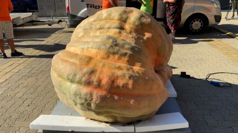 Sequence 10.02_13_43_10.Still011.jpg