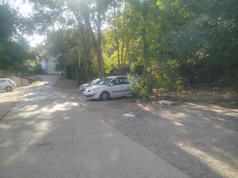 WhatsApp Image 2025-09-24 at 10.25.03_f3e858dc.jpg