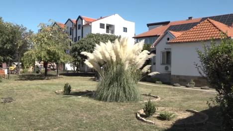 Screenshot 2025-09-24 125942.jpg