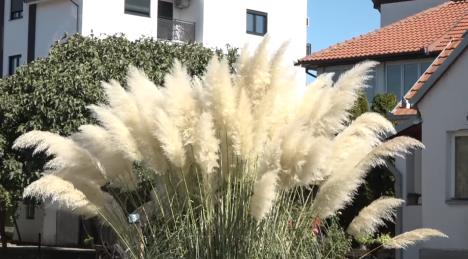 Screenshot 2025-09-24 125949.png