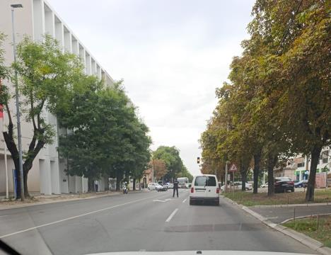 WhatsApp Image 2025-09-24 at 17.00.13_3ec7414e.jpg