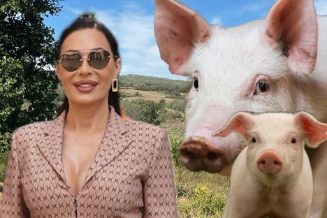 Svetlana Ceca Raznatovic Prasici.jpg