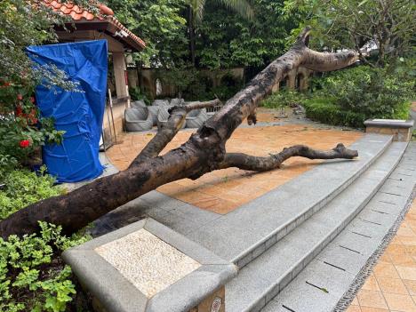 WhatsApp Image 2025-09-25 at 07.44.46_8035fb6c.jpg