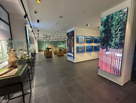 Screenshot 2025-09-25 102546.png