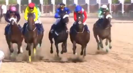 Screenshot 2025-09-25 125759.jpg