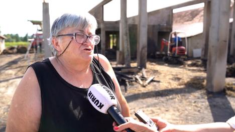 Sequence 01.00_59_13_00.Still006.jpg