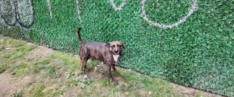 Screenshot 2025-09-25 151119.png