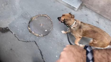 Screenshot 2025-09-25 151231.jpg