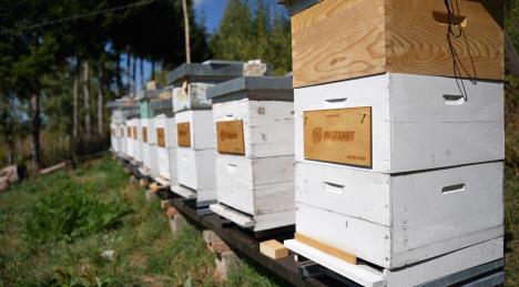 Snimak ekrana 2025-09-23 120108.jpg