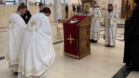 img_8640-1-1003x570.jpeg (1).jpg