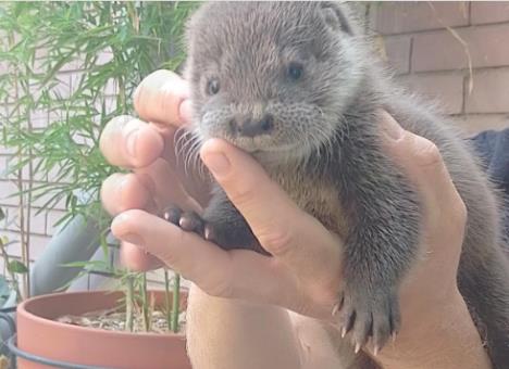 Screenshot 2025-09-28 125730.jpg