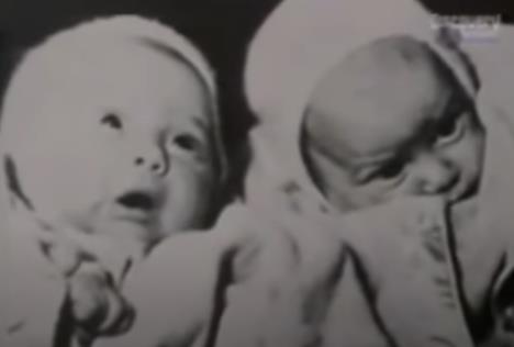 sestre polok reinkarnacija  (1).png