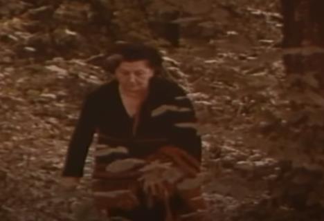 saša božović (4).png