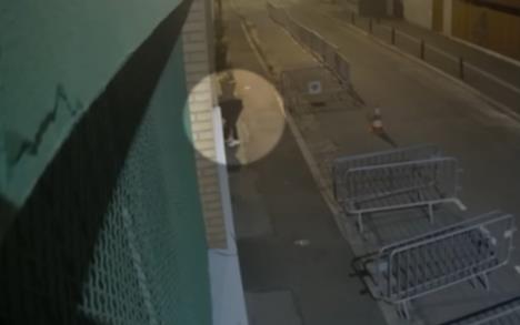 Screenshot 2025-09-29 175049.png