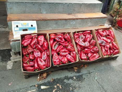 WhatsApp Image 2025-09-30 at 18.08.46.jpeg