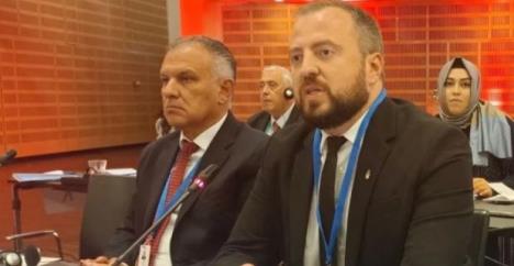 Aleksandar Mirković.jpg