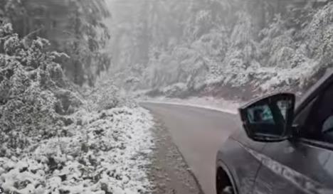 Screenshot 2025-10-02 130946.jpg