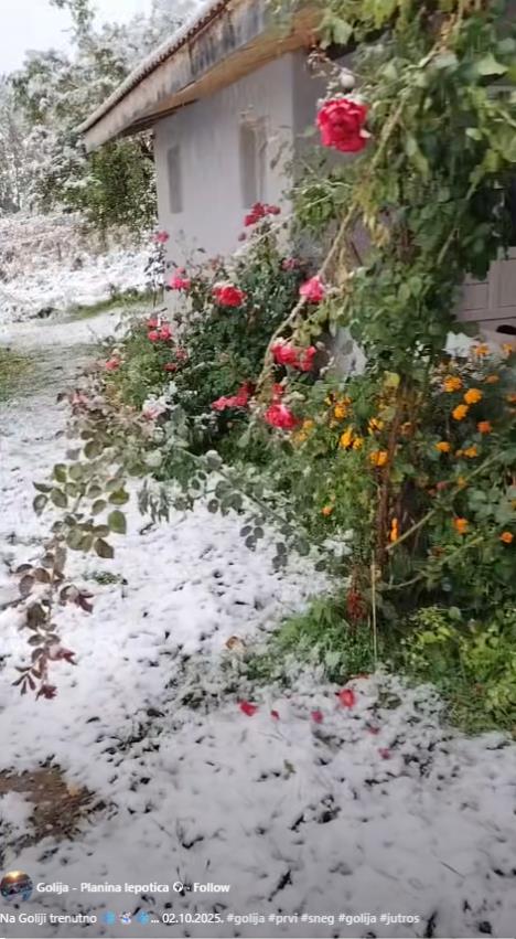 Screenshot 2025-10-02 144012.jpg