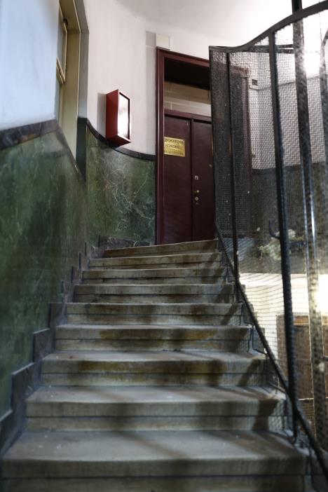 WhatsApp Image 2025-10-02 at 14.53.33 (2).jpeg