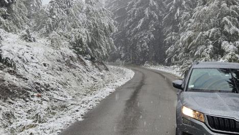 Sneg u Srbiji i Beogradu sredinom novembra