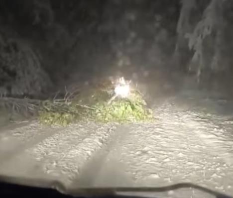 Screenshot 2025-10-02 203132.jpg