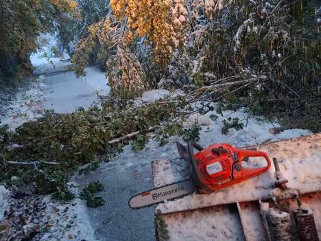 WhatsApp Image 2025-10-03 at 08.47.57_7f3b6e53.jpg