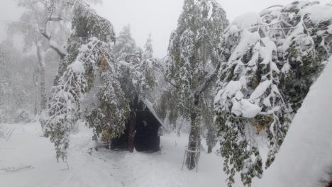 WhatsApp Image 2025-10-03 at 09.45.48_b39d2d00 copy.jpg