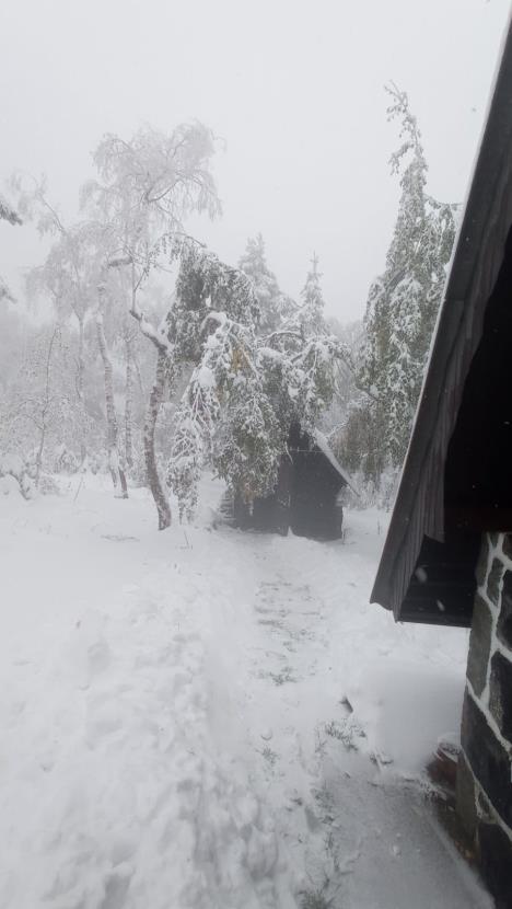 WhatsApp Image 2025-10-03 at 09.45.48_0ceb09e4 copy.jpg