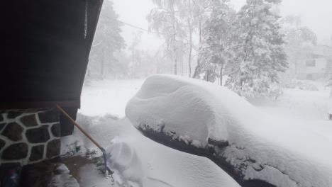 WhatsApp Image 2025-10-03 at 09.45.47_9166e1d3 copy.jpg