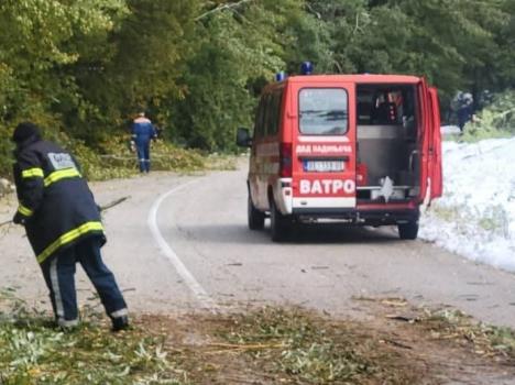 Sklanjanje palog drveća.jpg