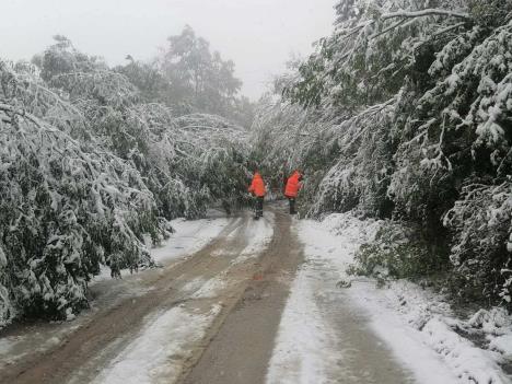 Kadinjača - Ponikve.jpg