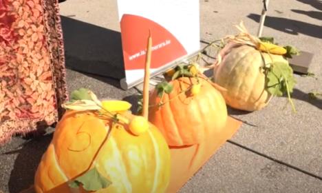 Screenshot 2025-10-04 183422.jpg