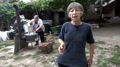 Verica Jovanović.jpg