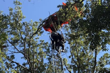 g2csyotwkaadzmm copy.jpg