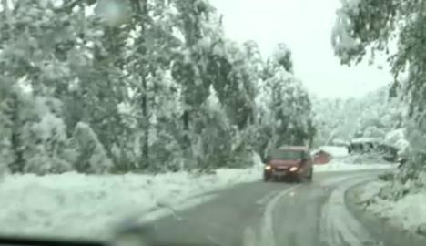 Screenshot 2025-10-07 101428.jpg