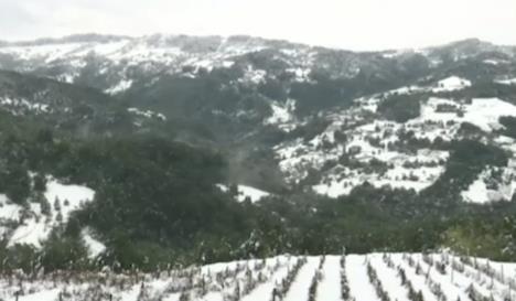 Screenshot 2025-10-07 101420.png