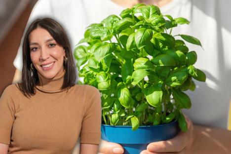 Devojka drži saksiju sa bujnim bosiljkom/Tatjana Popović, nutrcionista
